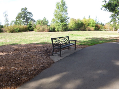 Bench along paved trail